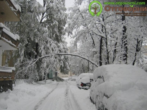 Лошите примери като този с безкрайната височина на дърветата на ул. „Иван Гюзелев“ в град Габрово се срещат в много населени места в страната, снежният пейзаж е от 25.10.2014 г. Снимка: предоставена на otgovorni.com